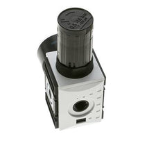 Precisiedrukregelaar voor spruitstukassemblage G1/4'' 2000l/min 0.5-16.0bar/7-232psi PA Futura 1