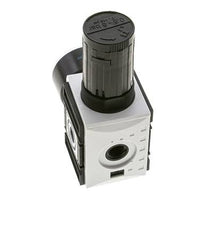 Precisiedrukregelaar voor spruitstukassemblage G1/4'' 2000l/min 0.5-8.0bar/7-116psi PA Futura 1