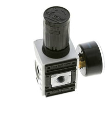 Precisiedrukregelaar voor spruitstukassemblage G1/4'' 2000l/min 0.5-16.0bar/7-232psi PA Futura 1