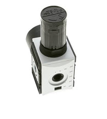 Precisiedrukregelaar voor spruitstukassemblage G1/4'' 2000l/min 0.1-2.0bar/1-29psi PA Futura 1