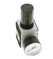 Precisiedrukregelaar voor spruitstukassemblage G1/4'' 2000l/min 0.1-2.0bar/1-29psi PA Futura 1