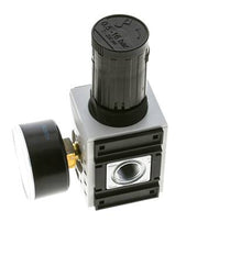 Precisiedrukregelaar voor spruitstukassemblage G1/4''&3/8'' 2500l/min 0.5-16.0bar/7-232psi PA Futura 1