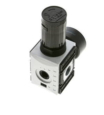 Precisiedrukregelaar voor spruitstukassemblage G1/4''&3/8'' 2500l/min 0.2-4.0bar/3-58psi PA Futura 1