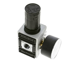 Nauwkeurige Drukregelaar voor Manifold Assemblage G1/4''&3/8'' 2500l/min 0.5-10.0bar/7-145psi PA Futura 1