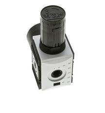 Precisiedrukregelaar voor spruitstukassemblage G1/4'' 2000l/min 0.5-10.0bar/7-145psi PA Futura 1