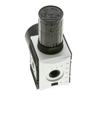 Nauwkeurige Drukregelaar voor Manifold Assemblage G1/4''&3/8'' 2500l/min 0.1-1.0bar/1-14psi PA Futura 1