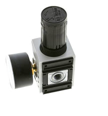 Precisiedrukregelaar voor spruitstukassemblage G1/4'' 2000l/min 0.5-10.0bar/7-145psi PA Futura 1