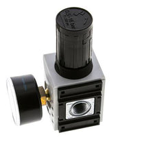 Drukregelaar voor Manifold Assemblage G1/4''&3/8'' 2500l/min 0.5-16.0bar/7-232psi PA Futura 1