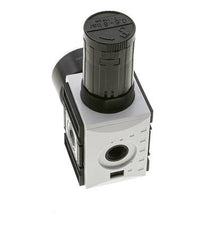 Drukregelaar voor Manifold Assemblage G1/4''&3/8'' 2500l/min 0.5-8.0bar/7-116psi PA Futura 1