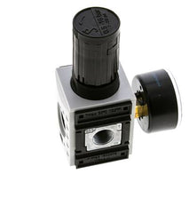 Drukregelaar voor Manifold Assemblage G1/4''&3/8'' 2500l/min 0.5-16.0bar/7-232psi PA Futura 1