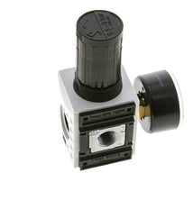 Drukregelaar voor Manifold Assemblage G1/4''&3/8'' 2500l/min 0.5-8.0bar/7-116psi PA Futura 1