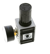 Drukregelaar voor Manifold Assemblage G1/4'' 2000l/min 0.5-8.0bar/7-116psi PA Futura 1