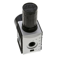Drukregelaar voor Manifold Assemblage G1/4''&3/8'' 2500l/min 0.5-16.0bar/7-232psi PA Futura 1