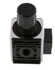 Drukregelaar G1/4'' 1000l/min 0.2-4.0bar/3-58psi PA Futura 0