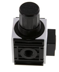 Drukregelaar G1/4'' 1000l/min 0.5-10.0bar/7-145psi PA Futura 0