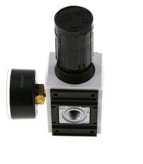 Precisie Drukregelaar G1/4'' 2000l/min 0.5-16.0bar/7-232psi PA Futura 1