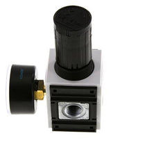 Precisie Drukregelaar G3/8'' 2500l/min 0.2-4.0bar/3-58psi PA Futura 1