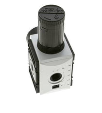 Precisie Drukregelaar voor Manifold Assemblage G3/8'' 4500l/min 0.5-10.0bar/7-145psi PA Futura 2