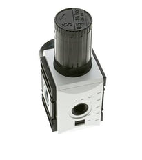 Precisiedrukregelaar voor spruitstukassemblage G1/2''&3/8'' 5200l/min 0.5-16.0bar/7-232psi PA Futura 2