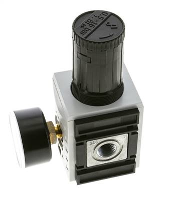 Nauwkeurige Drukregelaar voor Manifold Assemblage G3/8'' 4500l/min 0.5-16.0bar/7-232psi PA Futura 2