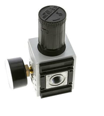 Nauwkeurige Drukregelaar voor Manifold Assemblage G3/8'' 4500l/min 0.5-16.0bar/7-232psi PA Futura 2