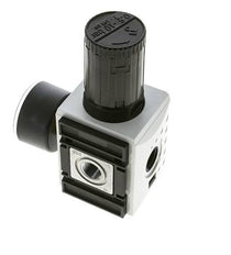 Precisie Drukregelaar voor Manifold Assemblage G3/8'' 4500l/min 0.5-10.0bar/7-145psi PA Futura 2