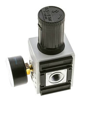 Precisiedrukregelaar voor spruitstukassemblage G3/8'' 4500l/min 0.5-8.0bar/7-116psi PA Futura 2