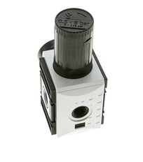 Precisiedrukregelaar voor spruitstukassemblage G1/2''&3/8'' 5200l/min 0.5-8.0bar/7-116psi PA Futura 2
