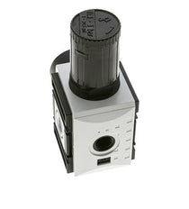Precisiedrukregelaar voor spruitstukassemblage G3/8'' 4500l/min 0.1-1.0bar/1-14psi PA Futura 2