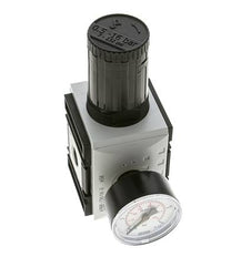 Nauwkeurige Drukregelaar voor Manifold Assemblage G3/8'' 4500l/min 0.5-16.0bar/7-232psi PA Futura 2