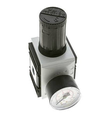 Drukregelaar voor Manifold Assemblage G3/8'' 4500l/min 0.5-10.0bar/7-145psi PA Futura 2