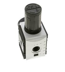 Drukregelaar voor Manifold Assemblage G1/2''&3/8'' 5200l/min 0.5-16.0bar/7-232psi PA Futura 2