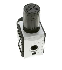 Drukregelaar voor Manifold Assemblage G3/8'' 4500l/min 0.5-8.0bar/7-116psi PA Futura 2