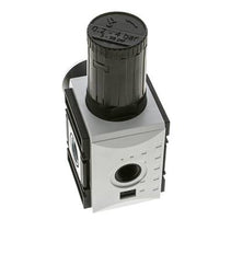 Drukregelaar voor Manifold Assemblage G1/2''&3/8'' 5200l/min 0.2-4.0bar/3-58psi PA Futura 2