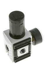 Nauwkeurige Drukregelaar G1/2'' 5200l/min 0.2-4.0bar/3-58psi PA Futura 2