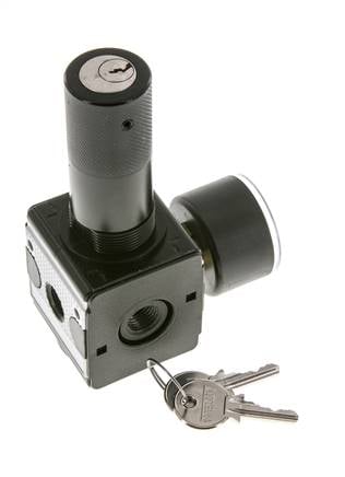 Drukregelaar voor Manifold Assemblage G1/4'' 2250l/min 0.2-6.0bar/3-87psi Zink Spuitgiet 40 mm Manometer Cilinderslot Multifix 1