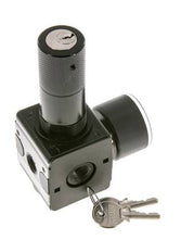 Drukregelaar voor Manifold Assemblage G1/4'' 2250l/min 0.1-3.0bar/1-44psi Zink Spuitgiet 40 mm Manometer Cilinderslot Multifix 1