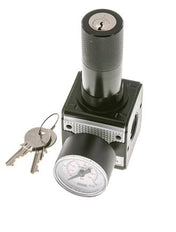 Drukregelaar voor Manifold Assemblage G1/4'' 2250l/min 0.5-16.0bar/7-232psi Zink Spuitgietwerk 40 mm Manometer Cilinderslot Multifix 1