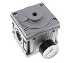 Drukregelaar Pilot Bediend G1'' 17500l/min 0.5-16.0bar/7-232psi Aluminium Multifix 5