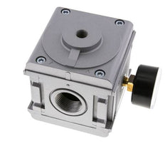 Drukregelaar Pilot Bediend G1'' 17500l/min 0.5-16.0bar/7-232psi Aluminium Multifix 5