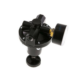 Precisie Drukregelaar G1/4'' 550l/min 0.2-7.0bar/3-102psi Zink Spuitgiet Standaard 3