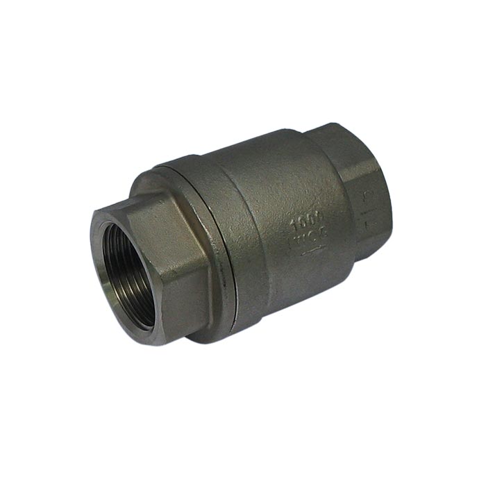 655 - G1-1/4'' Terugslagklep RVS PTFE F/F 64bar