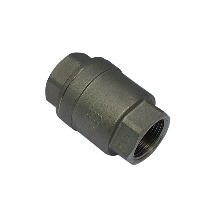 655 - G1-1/4'' Terugslagklep RVS PTFE F/F 64bar