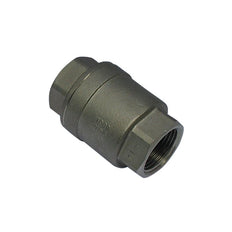655 - G1-1/4'' Terugslagklep RVS PTFE F/F 64bar