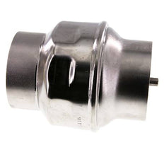 G3'' RVS 316 Terugslagklep FEP 0.03-16bar (0.44-232psi)