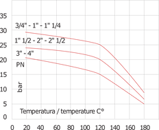G3'' RVS 316 Terugslagklep FEP 0.03-16bar (0.44-232psi)