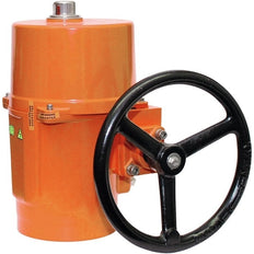 Belimo Vlinderklep DN350/PN16 Lug 120-240VAC/DC Modulerend GGG40 EPDM IP67 ISO 5211 MFT Aansluitklem 44s 1000Nm D6350NL/SY7-230A-MF-T