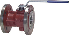 DN 80 PN 16 Cast Iron 2-Way Flanged Ball Valve