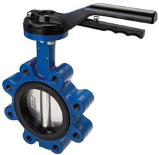 DN50 (2 inch) PN6 Lug Vlinderklep GG25-RVS-FKM (Composiet)
