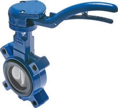DN300 (12 inch) PN6 Lug Butterfly Valve GGG40-Stainless steel-EPDM
